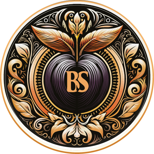 BS Balkan Secret